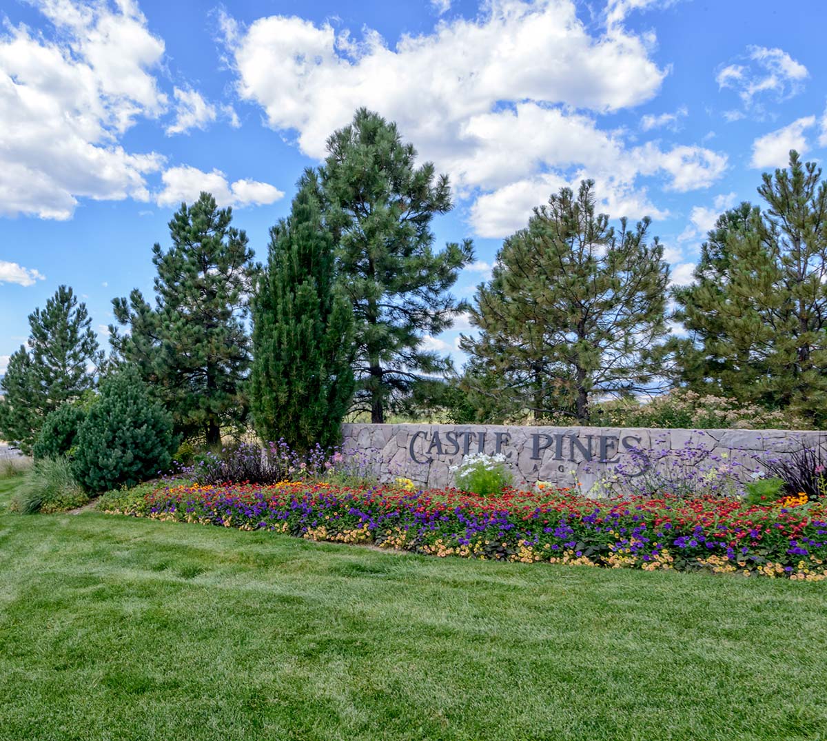 Custom pool and aluminum pergola projects in Castle Pines, Colorado